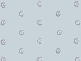 واترمارک هاشور